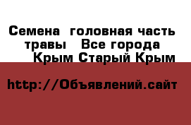 Семена (головная часть))) травы - Все города  »    . Крым,Старый Крым